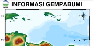 Gempa Mag 4,9 Guncang Bali, Lombok Terasa Bergoyang