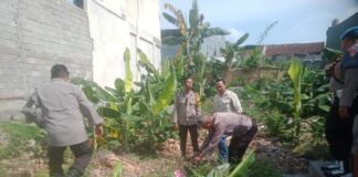 Mayat Bayi Ditemukan di Kebun. Polisi Terjunkan Pasukan Anjing Lakukan Olah TKP