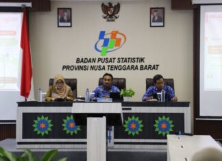 Inflasi Tahun ke Tahun Provinsi NTB Lebih Rendah Dari Nasional