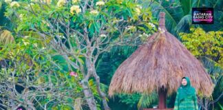 Ini Strategi Pertahankan NTB Lumbung Pangan Bumi Gora, Ala Jilbab Ijo