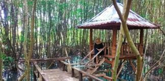 Berharap Harga Tiket Pesawat Turun. Kadispar NTB : Keindahan Alam NTB tidak Kalah dengan Provinsi Lain