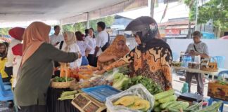 Inilah Gerakan Pemprov NTB Stabilkan Harga Pangan!