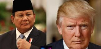 Prabowo Ucapkan Selamat ke Trump, Tekankan Perdamaian dan Stabilitas Dunia