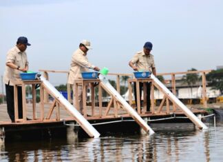 Usai Tinjau Budidaya Tambak Ikan Nila, Prabowo Sapa Hangat Ratusan Warga Karawang