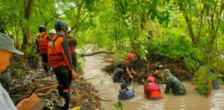 Tim SAR Lanjutkan Pencarian Asila. Kakansar : Pencarian Terkendala Semak