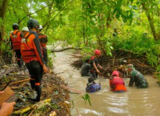 Tim SAR Lanjutkan Pencarian Asila. Kakansar : Pencarian Terkendala Semak
