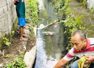Penyakit Kumat, IGS Ditemukan Selokan