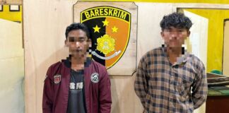 Demi Minuman Keras, Dua Remaja Bobol Rumah Tukang Kayu. Polsek Sape Gerebek Pelaku!