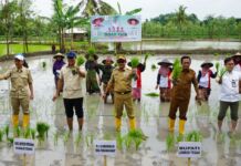 Wamentan Gelar Dialog Tani. GamaGora 7 Upaya Tingkatkan Ketahanan Pangan Nasional