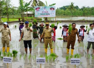 Wamentan Gelar Dialog Tani. GamaGora 7 Upaya Tingkatkan Ketahanan Pangan Nasional