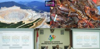 Ekonomi NTB Melaju: Ekspor Desember 2024 Naik Drastis. Inilah Penjelasan Lengkap BPS!