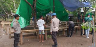 Meresahkan, Arena Judi Sabung Ayam di Bongkar