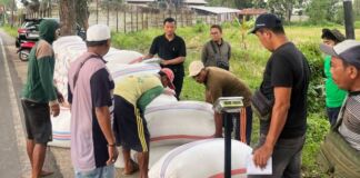 Ajak Petani Jadi Enterpreneur, HPP Gabah di Patok Rp 6500/kg