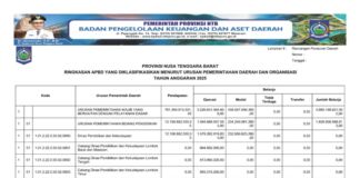 Ringkasan APBD NTB yang Diklasifikasikan Menurut Urusan Pemerintah Daerah dan Organisasi Tahun Anggaran 2025 (Bagian Ketiga)