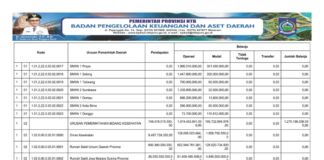 Ringkasan APBD NTB yang Diklasifikasikan Menurut Urusan Pemerintah Daerah dan Organisasi Tahun Anggaran 2025 (Bagian Keempat)