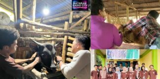 Mahasiswa KKN Unram Gelar Posyandu Hewan: Perisai Ternak Desa Mengkuru dari Ancaman PMK