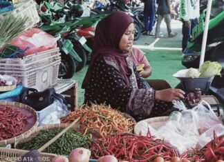 Gagal Panen, Harga Cabe Loncat
