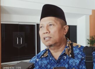 11 Sapi di KSB Mati Akibat Sianida