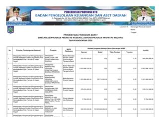 Rekapitulasi Belanja Untuk Pemenuhan SPM Provinsi NTB Tahun Anggaran 2025 (Bagian 33)