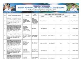 Rekapitulasi Belanja Untuk Pemenuhan SPM Provinsi NTB Tahun Anggaran 2025 (Bagian 35)
