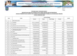Ringkasan APBD NTB yang Diklasifikasikan Menurut Urusan Pemerintah Daerah dan Organisasi Tahun Anggaran 2025 (Bagian 15)