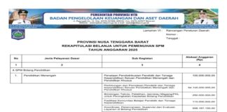 Rekapitulasi Belanja Untuk Pemenuhan SPM Provinsi NTB Tahun Anggaran 2025 (Bagian 19)