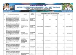 Rekapitulasi Belanja Untuk Pemenuhan SPM Provinsi NTB Tahun Anggaran 2025 (Bagian 36)