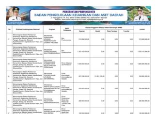 Rekapitulasi Belanja Untuk Pemenuhan SPM Provinsi NTB Tahun Anggaran 2025 (Bagian 39)