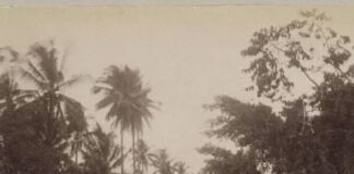 Gerbang Barat Mataram 1894