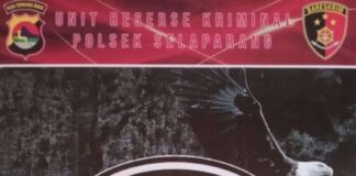 Spandek Dibuka, HP Hilang