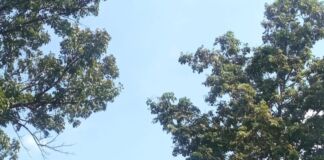 Viral Kasus Perkawinan Anak: Saatnya NTB Evaluasi Serius Perlindungan Anak