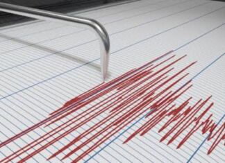 Gempa Dahsyat Guncang Chile Selatan, Warga Dievakuasi Akibat Ancaman Tsunami