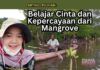 Belajar Cinta dan Kepercayaan dari Mangrove