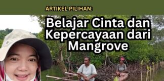 Belajar Cinta dan Kepercayaan dari Mangrove