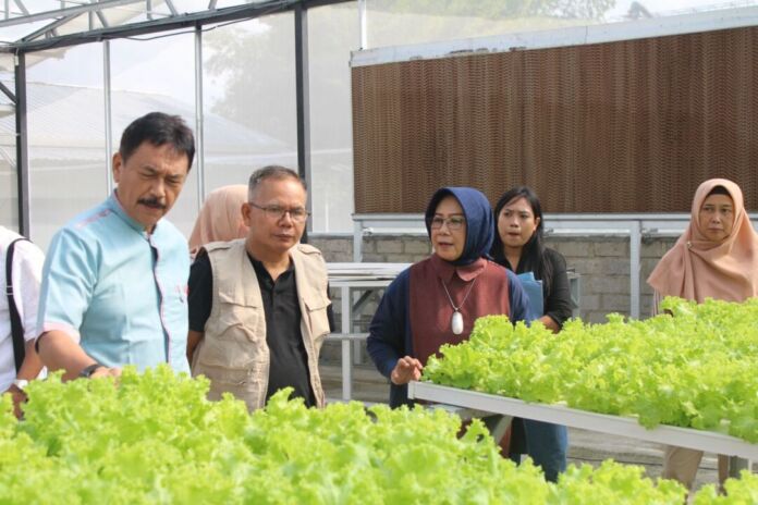 BRIDA dan Koperasi Bank NTB