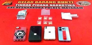 Diambil dari Lombok Tengah, Diamankan di Mataram