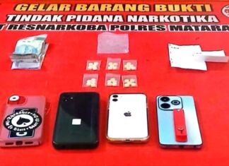 Diambil dari Lombok Tengah, Diamankan di Mataram