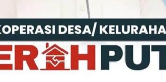 Koperasi Merah Putih di NTB sudah 99 Persen Lebih