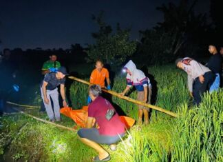 Mayat Lansia Membengkak Ditemukan di Sawah Kediri Lombok Barat, Warga Gempar!