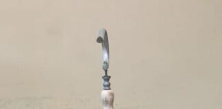 Panjat Tembok Demi Burung Murai