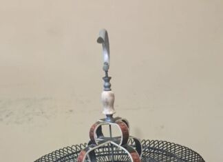 Panjat Tembok Demi Burung Murai