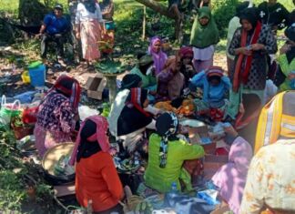 Festival Mubir Soro Meriahkan HUT ke 115 Desa Rempung