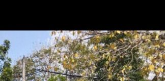 Hujan, Final Skateboard Dilanjut Besok