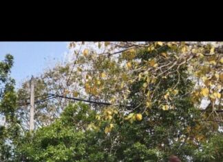 Hujan, Final Skateboard Dilanjut Besok