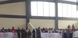 Behempas, Tarung Bantal di FORNAS VIII