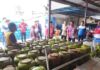 Gas 3 Kg Langka Warga Beli Pakai KTP. Kadis Perdagangan : Pemprov NTB Bersurat ke Pemerintah Pusat