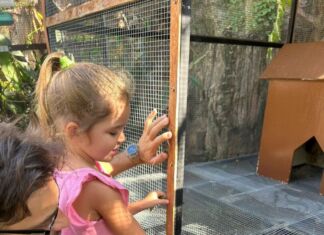 Liburan Nyaman di Aruna Senggigi Lombok, Hotel Ramah Anak di Tepi Pantai Senggigi