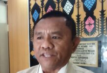 Bulog NTB Serap 21 Ton Jagung Petani