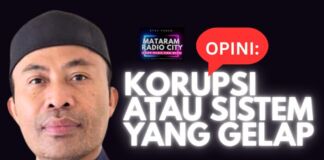 OPINI:Korupsi atau Sistem yang Gelap