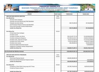 Laporan Realisasi APBD Provinsi Nusa Tenggara Barat Tahun 2024: Wujud Transparansi dan Akuntabilitas Pengelolaan Keuangan Daerah (Bagian 11)